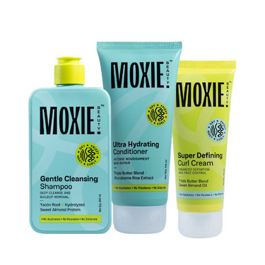 https://cdn.shopify.com/s/files/1/1857/6931/files/BSefvzhkrz.png?v=1727523995